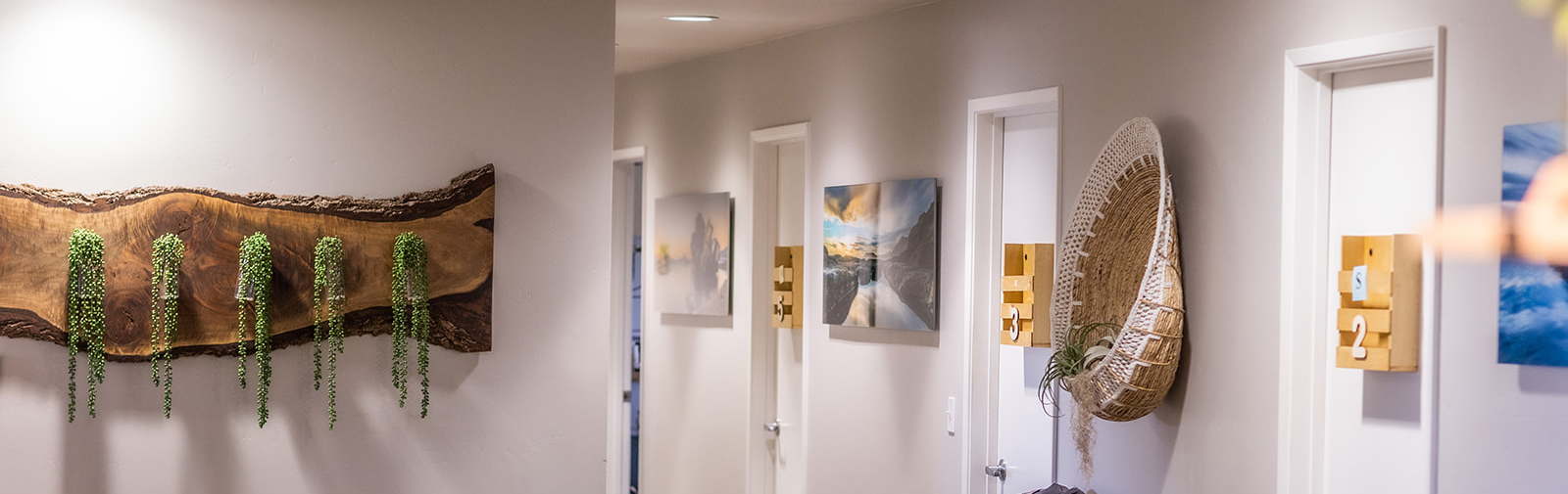 Waiting room and treatment room doors